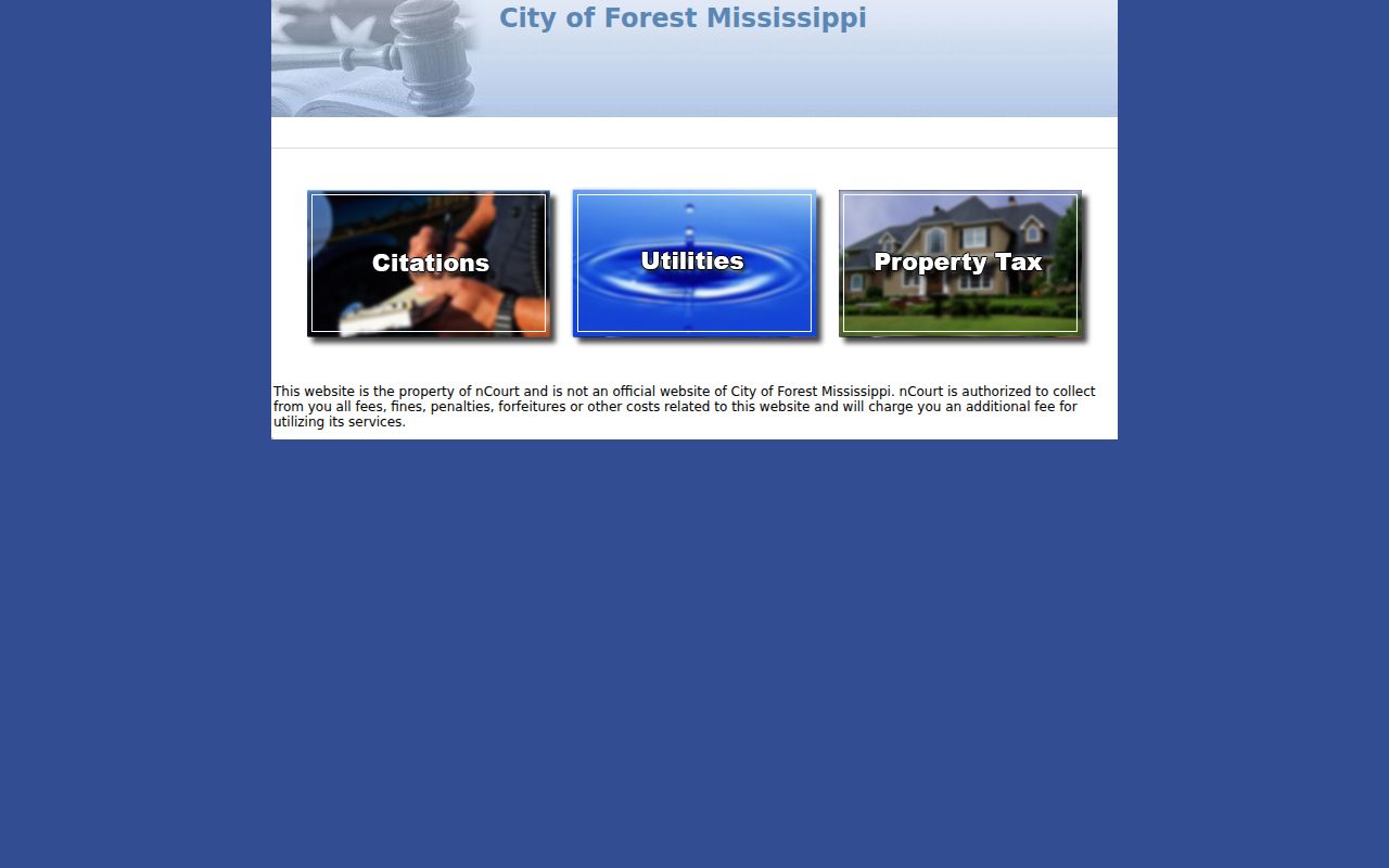 Forest Mississippi city ticket payment interface